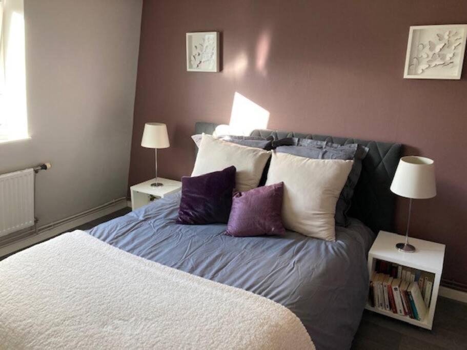 Agreable Et Spacieuse Maison Centre Ville Saint-Omer Екстериор снимка
